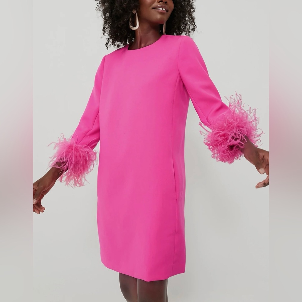 TUCKERNUCK HOT PINK FEATHER MOD MARY DRESS